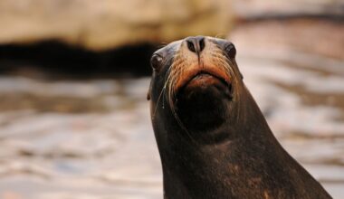 10 Astonishing Animal Abilities Scientists Never Saw Coming