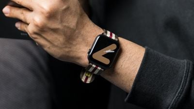 southern straps nylon band 2