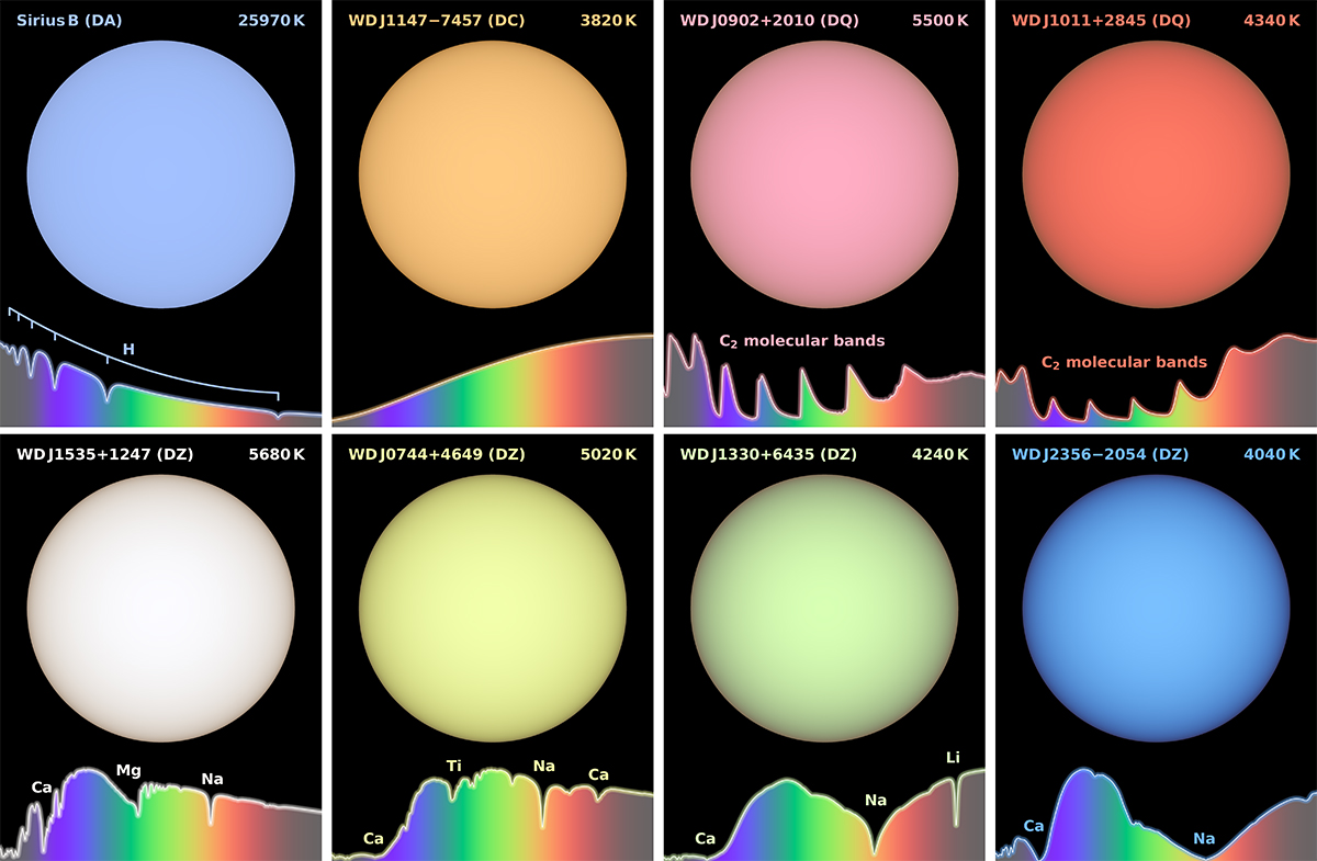 Simulated images showing the calculated colours of white dwarfs. Credit: Mark Hollands/University of Warwick