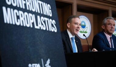 Microplastics and water create free radicals, new study finds