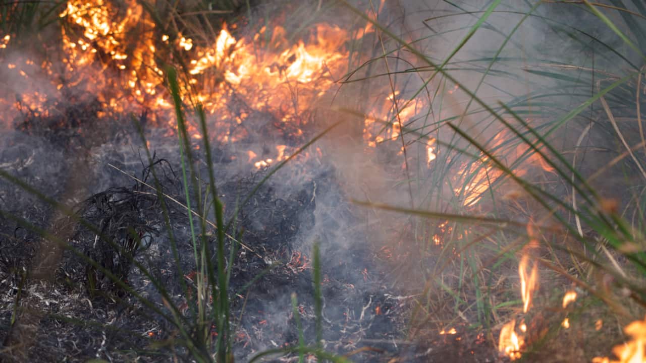 Flames closeup