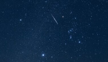 The Orionid meteor shower peaks next week! Here's what to expect