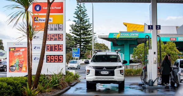 NZ fuel supplies secure but 'less room for error'