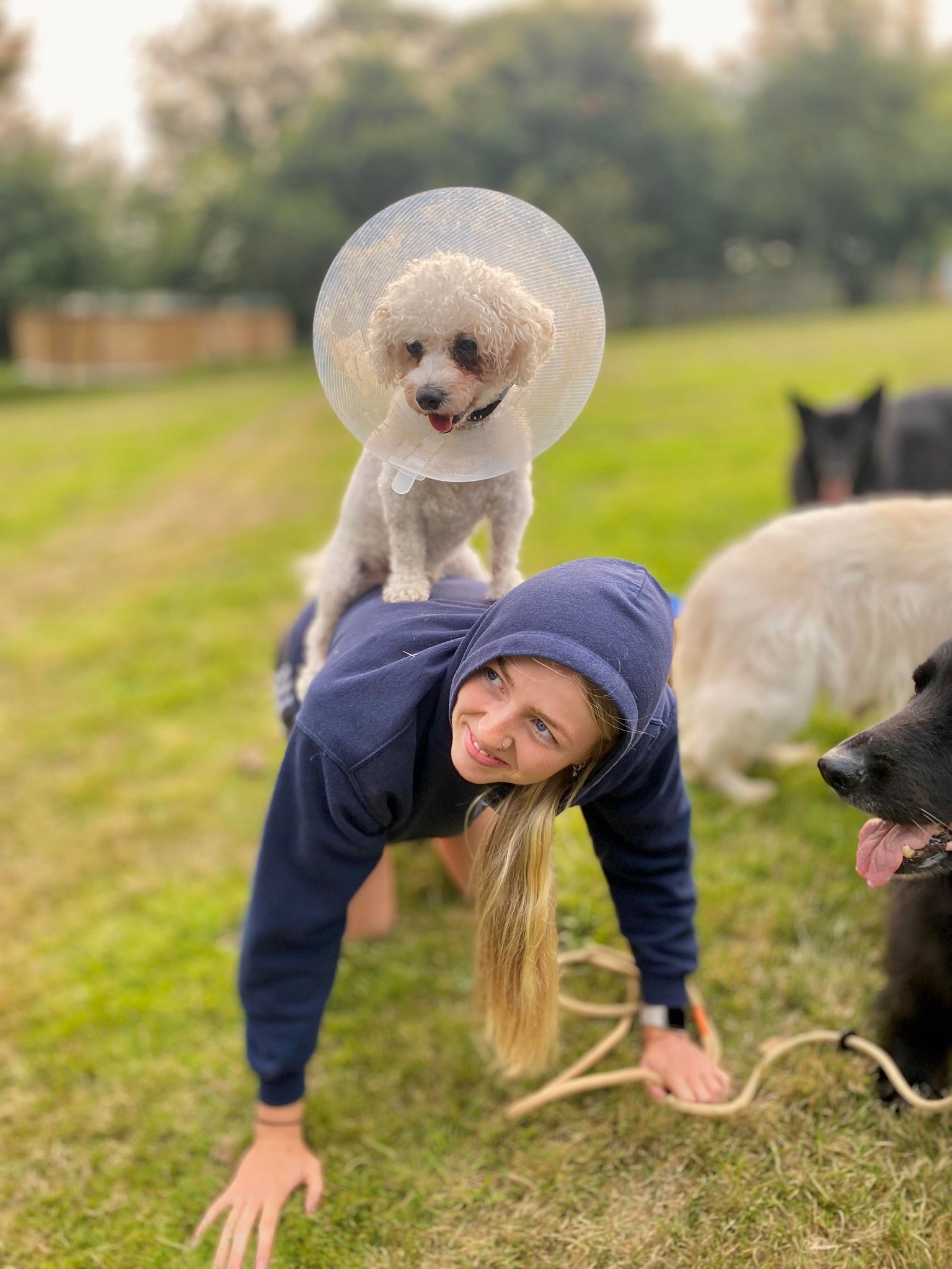 A woman kneeling on the grass with a small dog in a cone on her back.