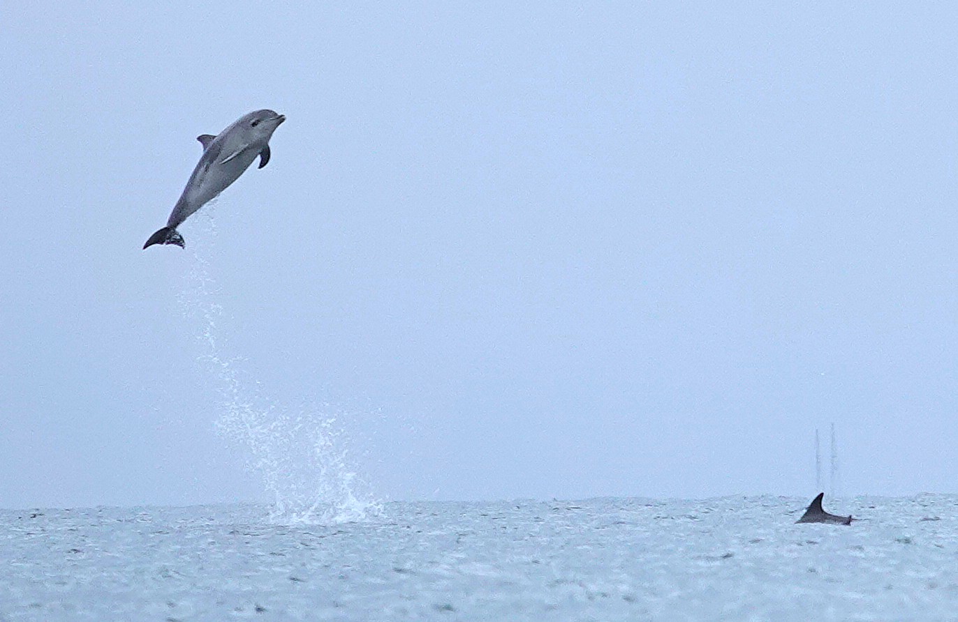 NINTCHDBPICT001013100956