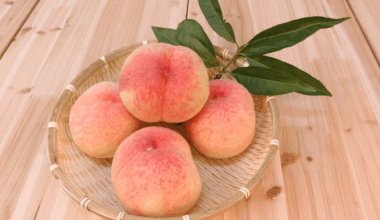 Are peaches the next superfruit? 10 surprising reasons you probably didn’t know