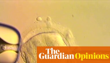 The Guardian view on mitochondrial donation: IVF innovation leads to a cautious genetic triumph | Editorial