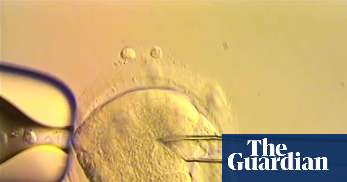 Eight healthy babies born after IVF using DNA from three people | Science