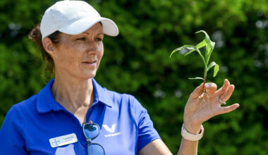 Leanne Freitag, Bayer Crop Science agronomic solutions advisor, holds a corn plant sample to help producers understand how to stage correctly during the herbicide injury scenario discussion at the Ontario Weed Tour at the Elora Research Station on July 16, 2025. Photo: Diana Martin