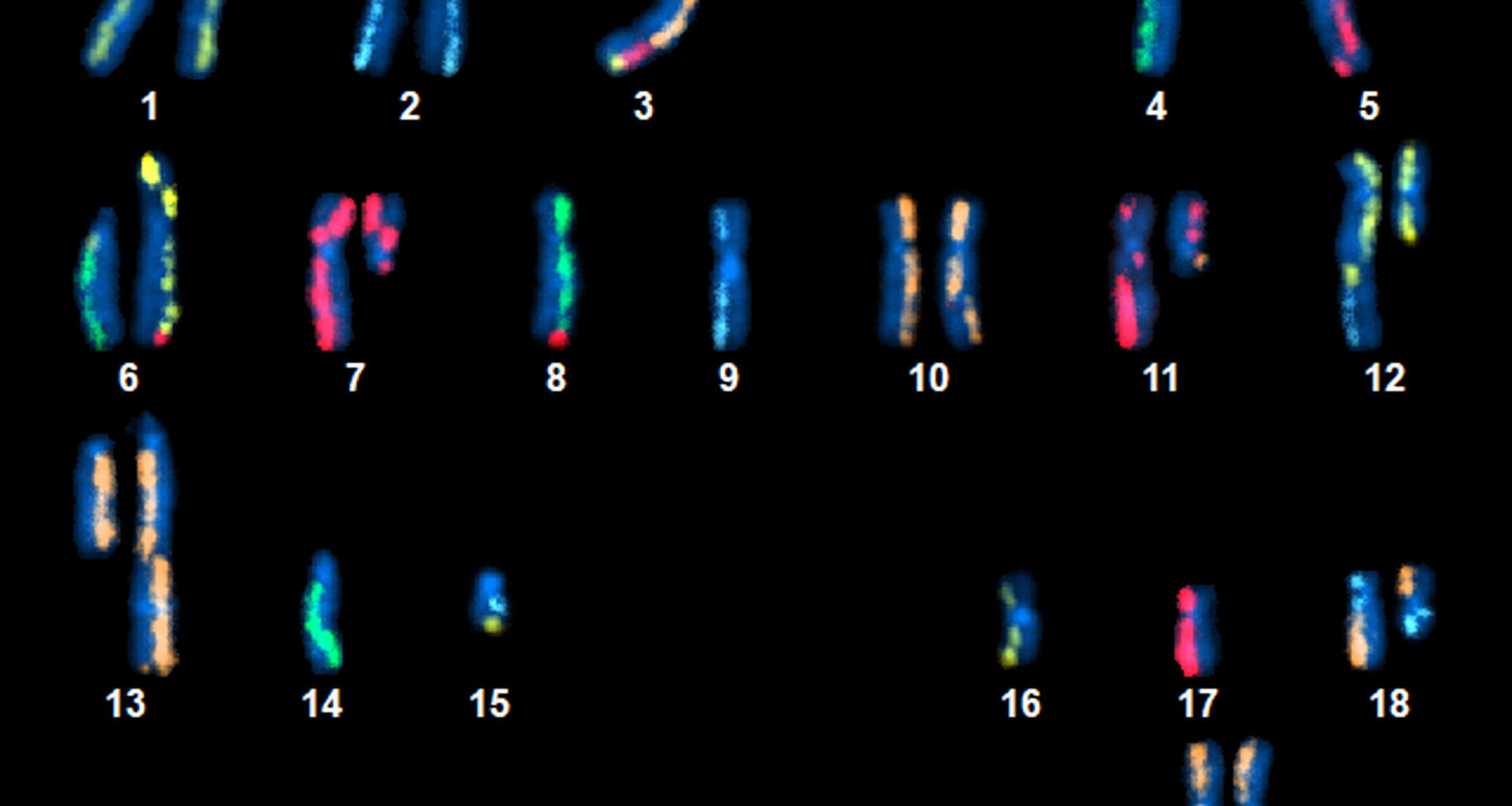 NIST Releases Trove of Genetic Data to Spur Cancer Research