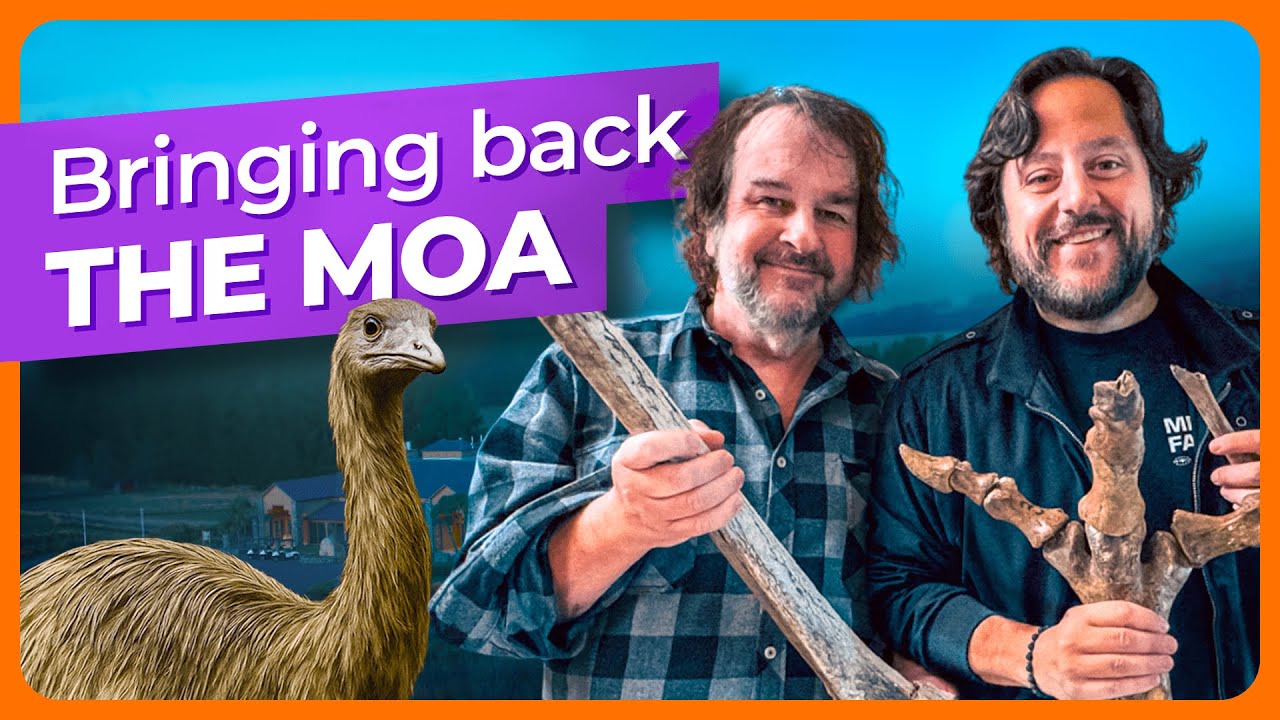 New De-Extinction Announcement: the Legendary Moa of New Zealand - YouTube