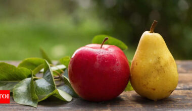 Apples vs pears: Which fruit is better for your health |