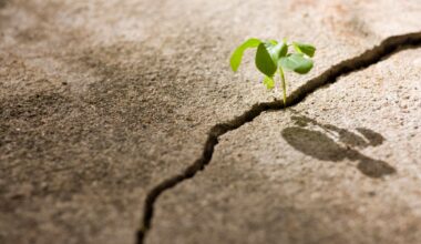 The Quiet Comeback Of Structural Alpha In A Crowded Market