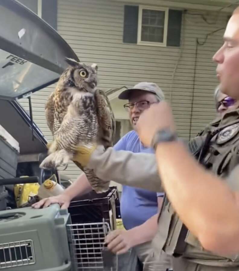 man holding owl 