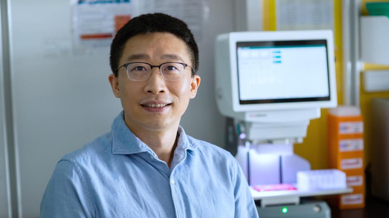 Tackling Brain Disorders by Targeting the “Junk” in Their Genes