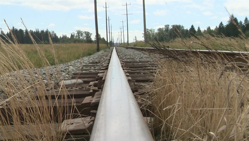 Click to play video: 'Light rail floated from Richmond to Chilliwack'