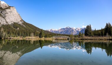 Visitors fined for leaving garbage for wildlife to eat in Banff National Park