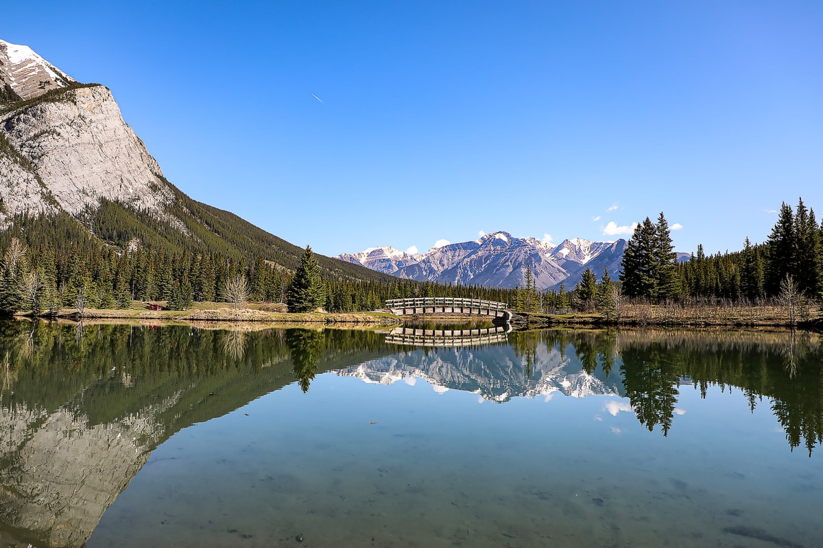 Visitors fined for leaving garbage for wildlife to eat in Banff National Park