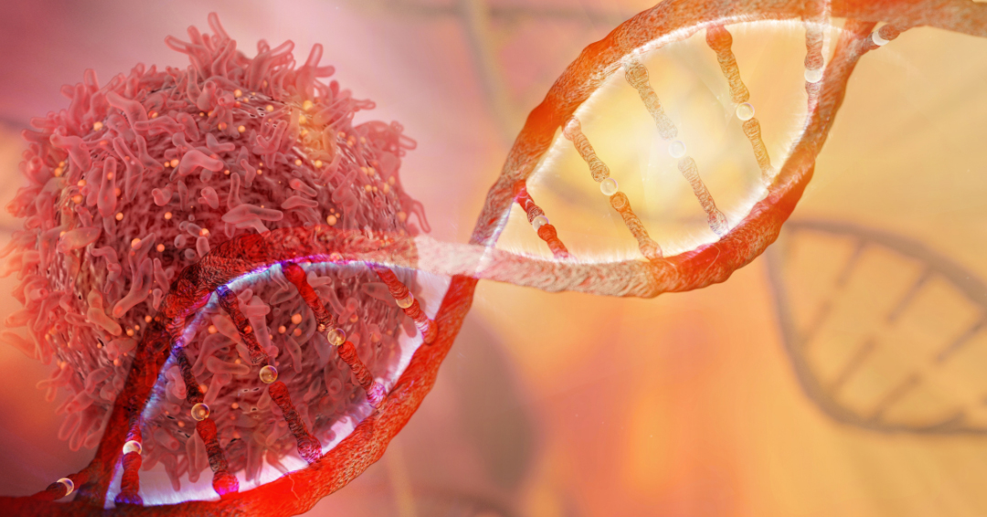 Common hereditary cancer mutation in Quebec traced to single ancestor