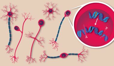 Gene editing shown to correct rare brain mutations in mice