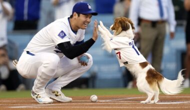 Shohei Ohtani co-writes children's book starring his dog Decoy