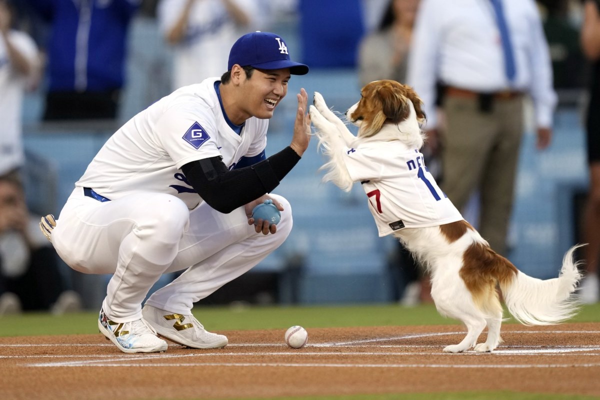 Shohei Ohtani co-writes children's book starring his dog Decoy