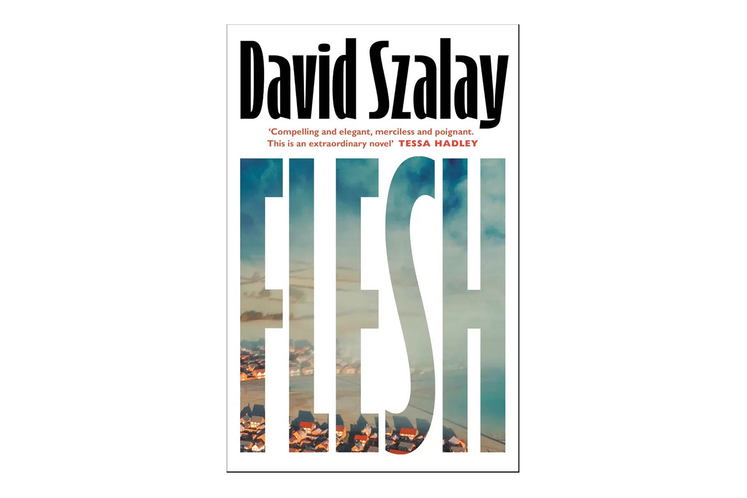 one of article images