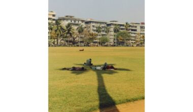 Book Review: ‘Shade: The Promise of a Forgotten Natural Resource’ calls for better protection