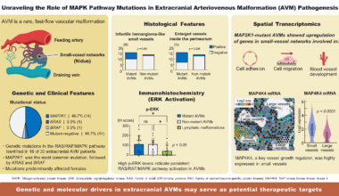 Genetics Helps Untangle Causes Behind Rare And Complex Vascular Disorder