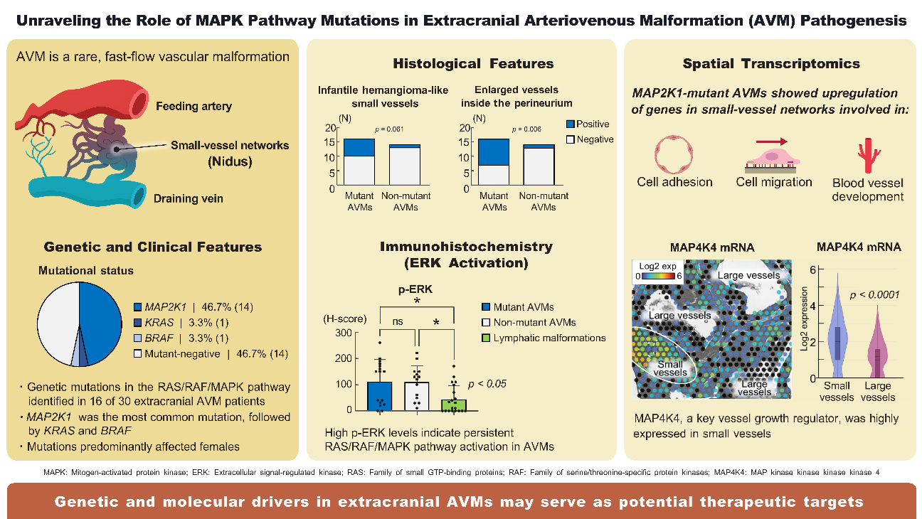 Genetics Helps Untangle Causes Behind Rare And Complex Vascular Disorder