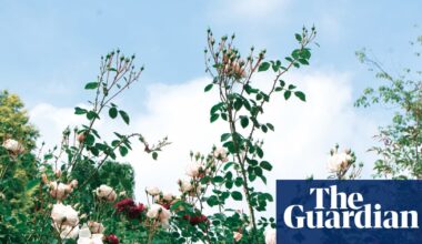 Death and the Gardener by Georgi Gospodinov review – how it feels to lose a father | Fiction