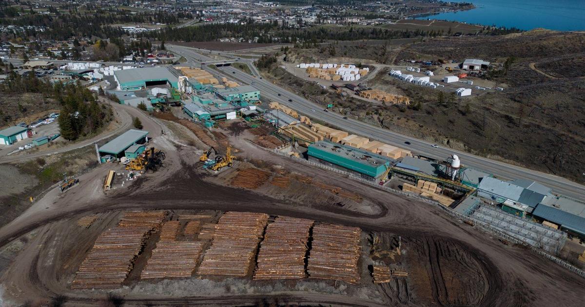 U.S. imposing 20.56% anti-dumping duties on Canadian softwood - thecanadianpressnews.ca
