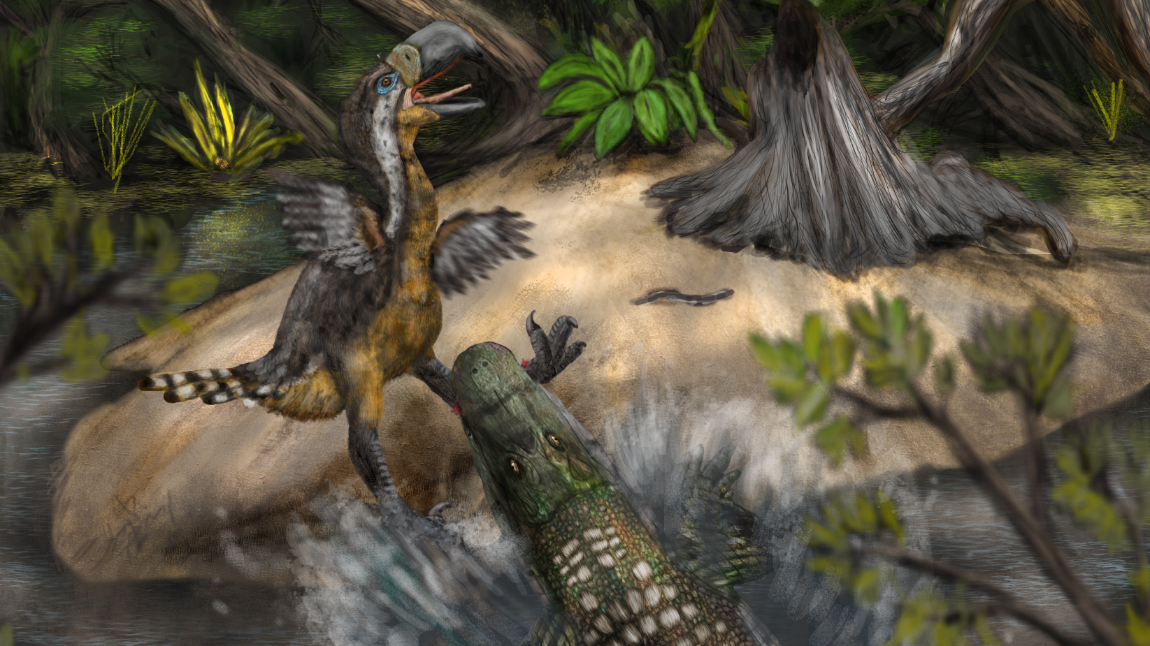 An illustration of a caiman attacking a terror bird in Colombia's ancient La Venta wetlands.