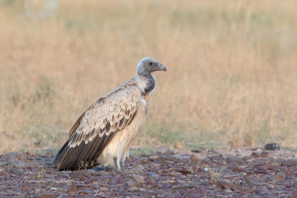 Photo Credit: iStock