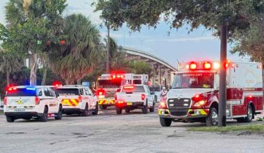 Woman Survives Alligator Attack During Dip in Florida Waters