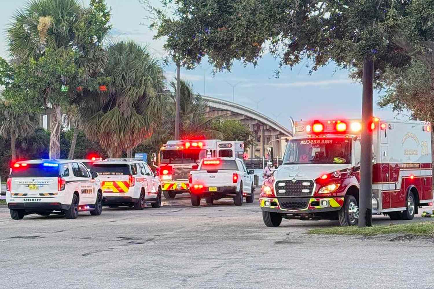 Woman Survives Alligator Attack During Dip in Florida Waters