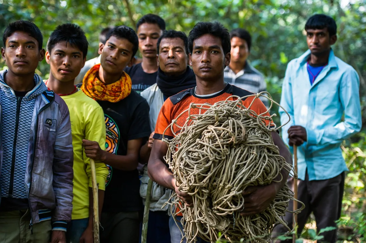 Community Forest Coordination members discover a net poaching snare, in the Khata Corridor within the Terai Arc region of Nepal.