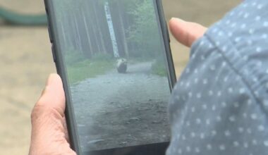 ‘Really, really frightening’: Grizzly encounter prompts bear warning in Kananaskis Country - CTV News