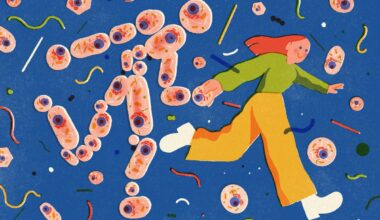 Cells are the smallest, most basic unit of life. Do they also hold memories?