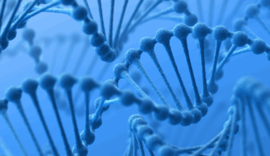 Genetic Insights Project update: Cancer screening patterns