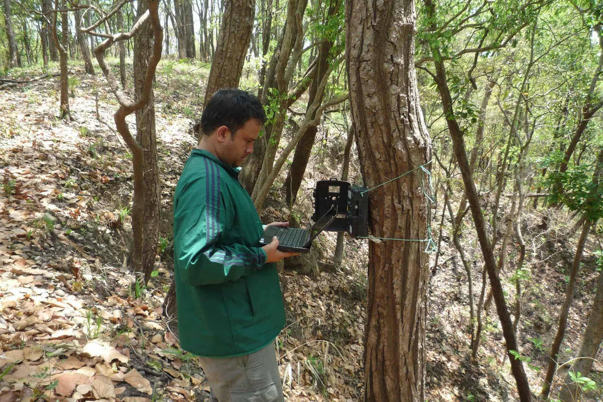 Kanchan Thapa in the field