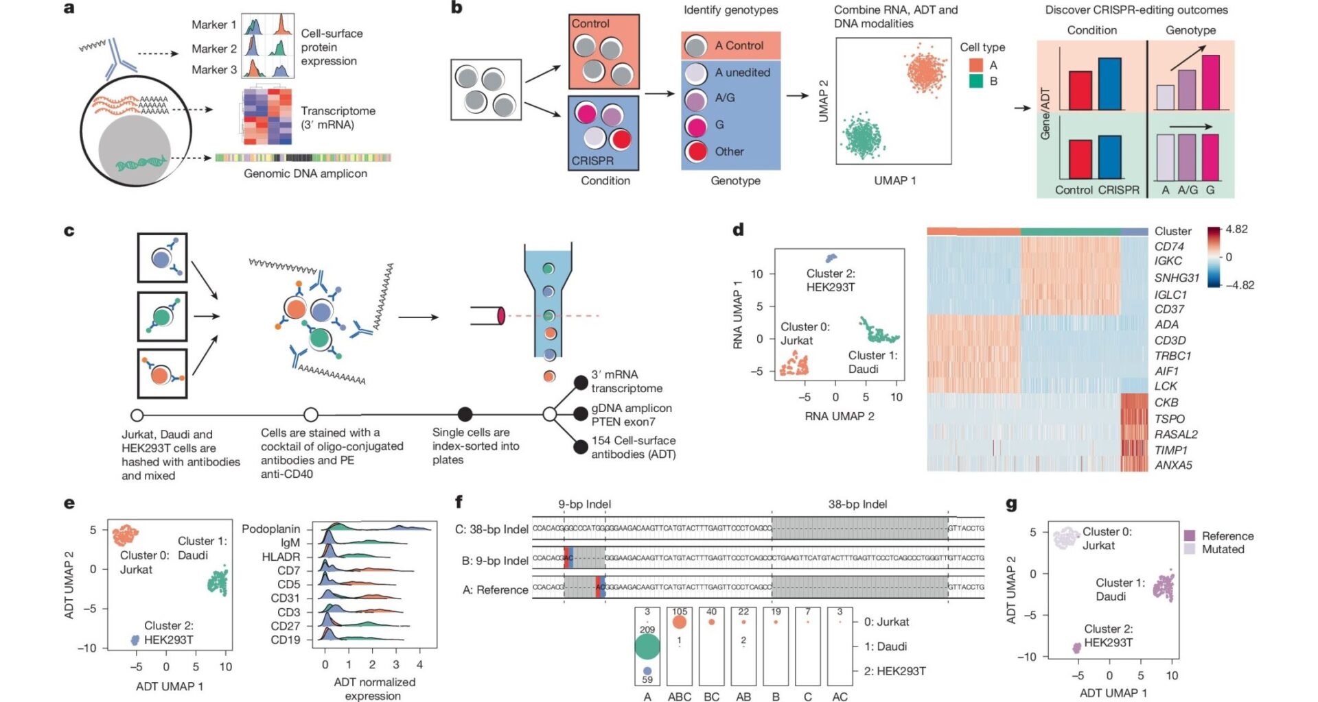 CRAFTseq: A New Tool for Mapping Disease Variant Effects in CRISPR-Edited Cells