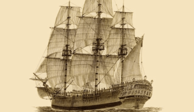 'A novel is a great way to learn genetics': A scene-based look at The Sirens, Middlesex and The Covenant of Water