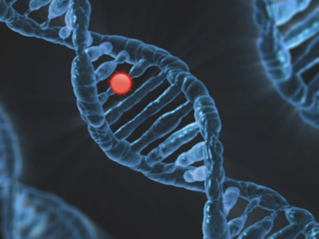 Human intelligence genes linked to cancer