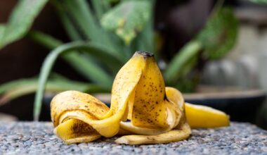 7 Surprising Reasons You Shouldn’t Toss Your Banana Peel