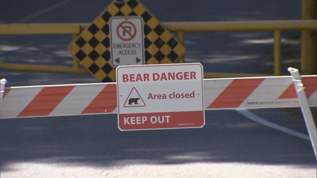 A sign and barrier indicating that White Pine Beach is closed due to a bear in the area