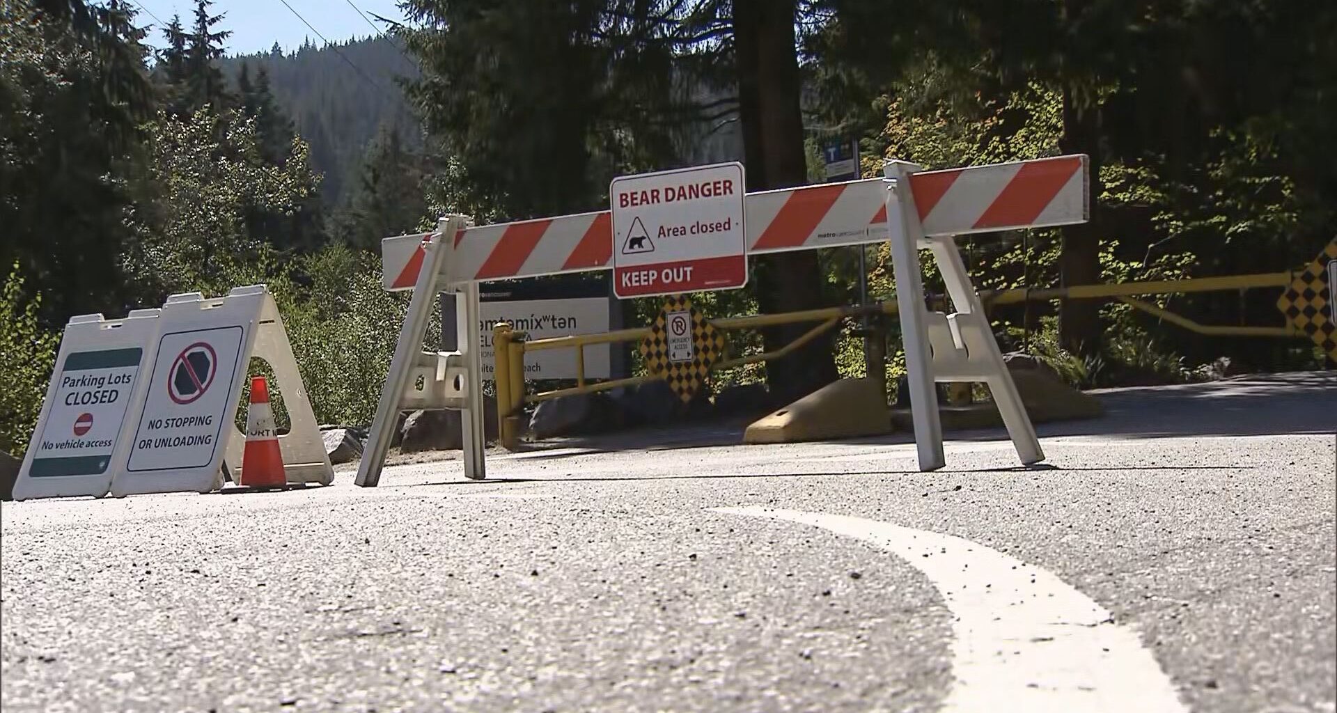 Metro Vancouver beach still closed after 'nuisance bear' sightings