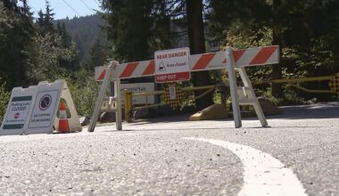 Metro Vancouver beach still closed after 'nuisance bear' sightings