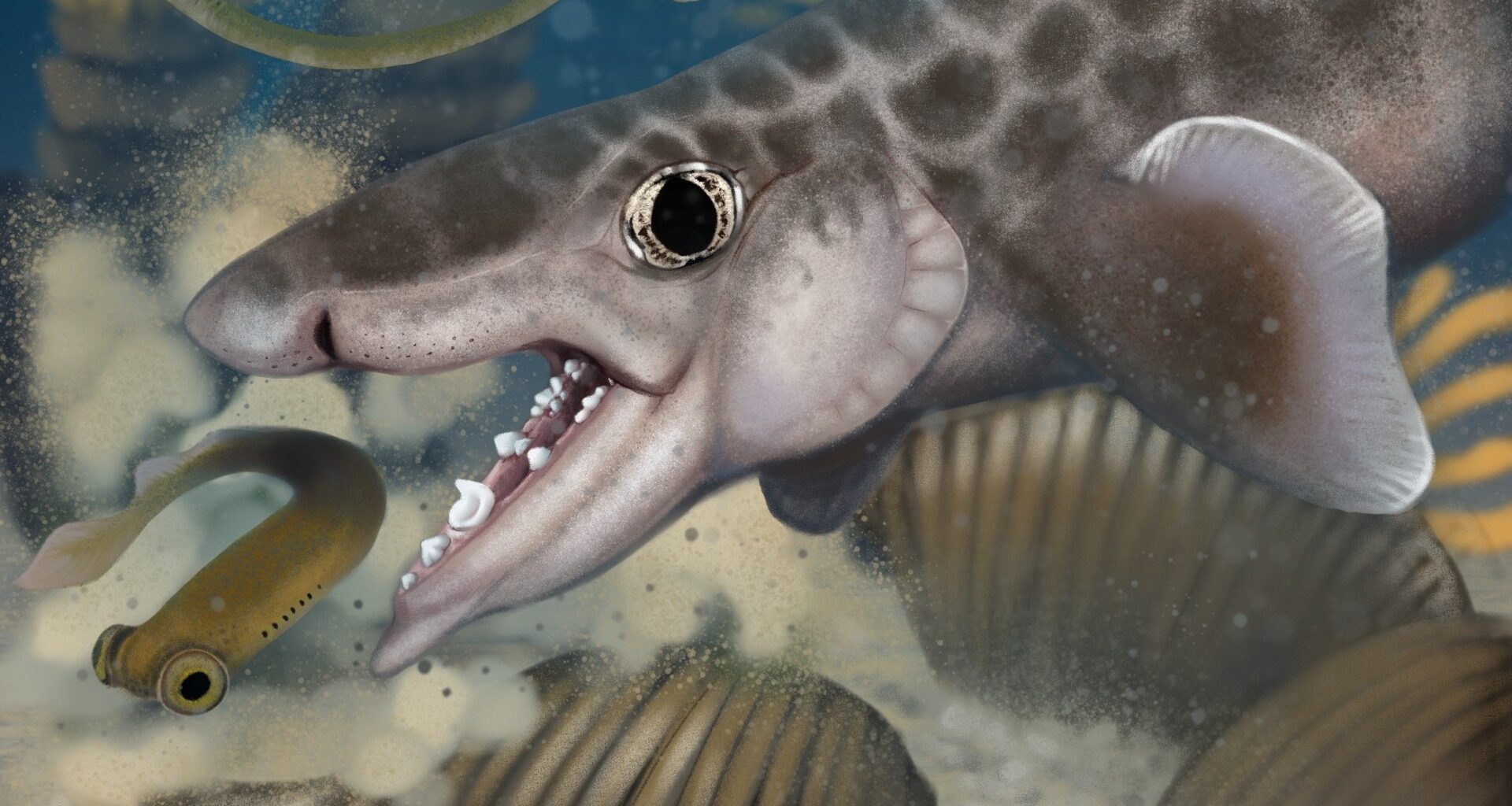 Ancient shark discovered deep inside world's longest cave system