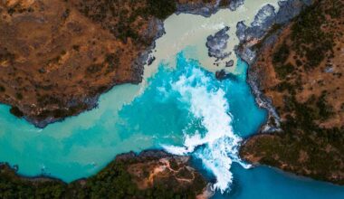 Dentons - Employment and Labor 3A Newsletter